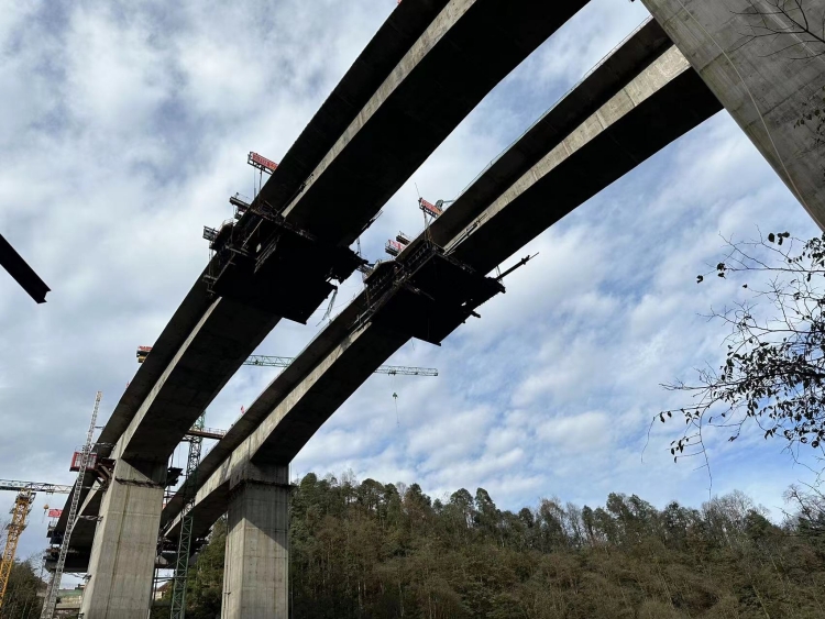乐西高速雷马坪1号大桥右线中跨顺利合龙_副本.jpg
