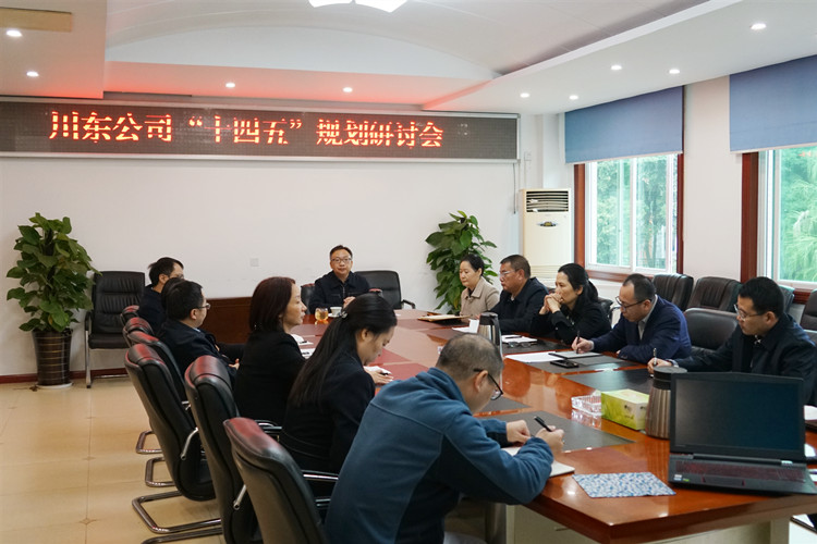 川东公司召开“十四五”规划研讨会.jpg
