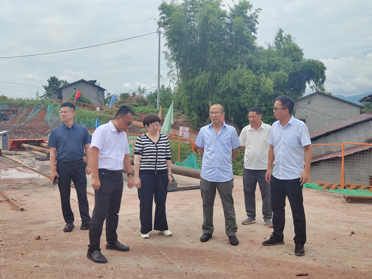 川东公司党委委员、纪委书记王志军现场督导检查大竹双马互通式立交迁建工程_副本.jpg