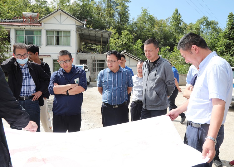 工点6:米仓山互通段 (1).JPG