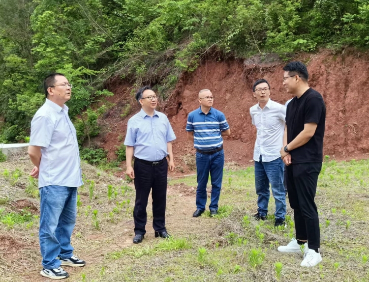 fileUpload (76)_副本.jpg