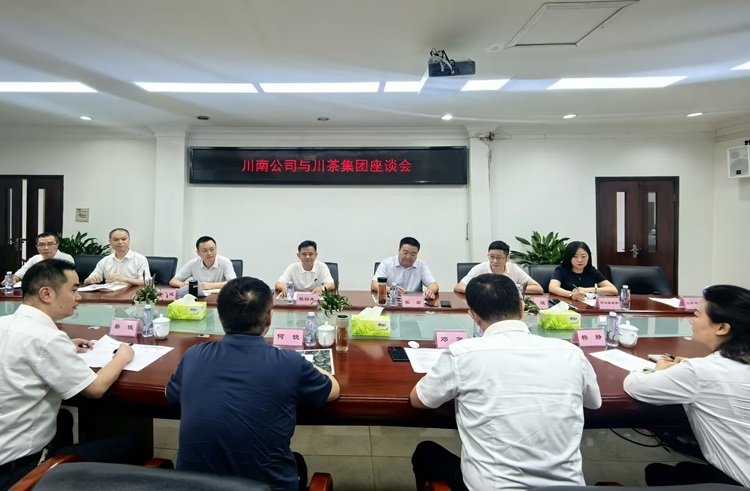 川茶集团座谈.jpg