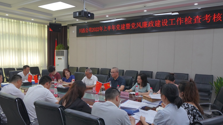 半年党建工作检查 副本.jpg