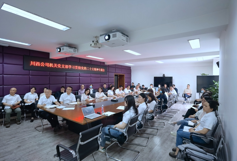 5-23川西公司机关党支部开展学习贯彻党的二十大精神专题会 (2)_副本.jpg