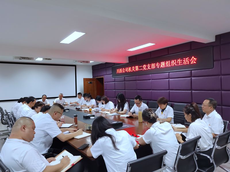 机关第二党支部组织生活会 (1)_副本.jpg