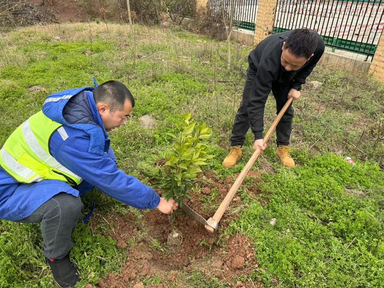 种下一棵树 收获一片绿3_副本.jpg