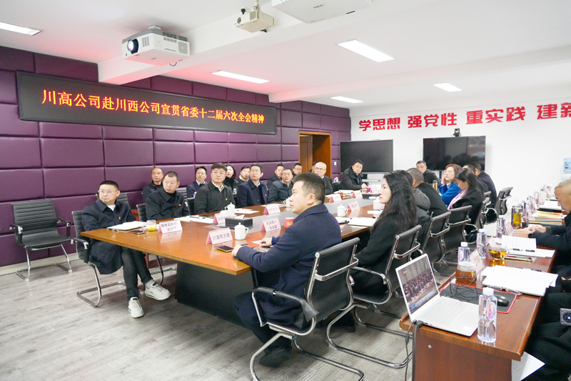 2024年12月24日川高公司党委委员、副总经理董胜勇赴川西公司宣讲省委十二届六次全会精神.jpg