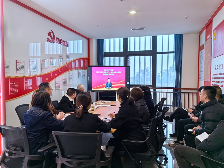 20241227 稽查监控中心党支部组织召开党建纪检工作会暨集体廉洁谈话 (9) _副本.jpg