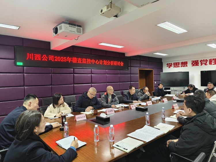 20250110 川西公司组织召开2025年稽查监控中心计划分析研讨会 (1)_副本.jpg