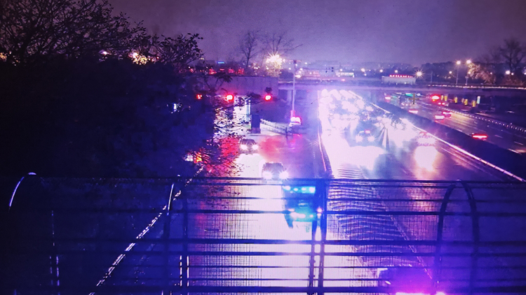 20250110 绕城高速五岗合一构筑生命通道 (2)_副本.jpg