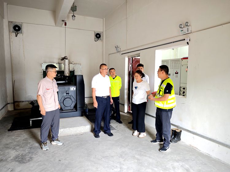 20250527渝蓉公司组织开展节前暨汛期安全检查 (4)_副本.jpg