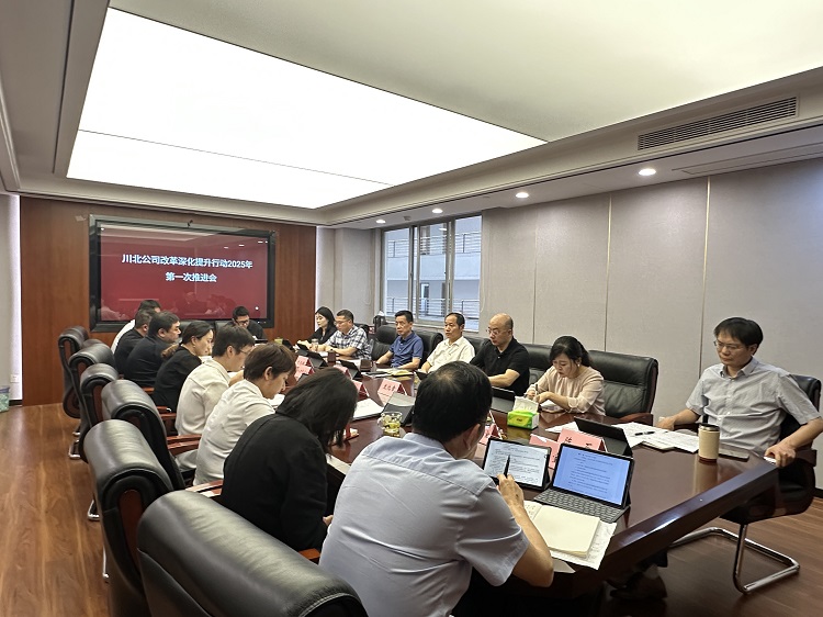 改革深化提升行动2025年第一次推进会 (陈明)(小.jpg