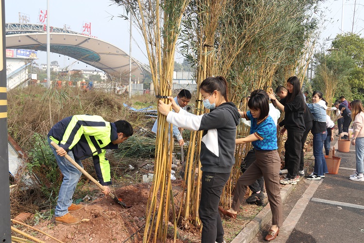 3.11泸州管理处开展“践行绿色行动 共筑美好家园 ”植树节主题党团日活动3.JPG