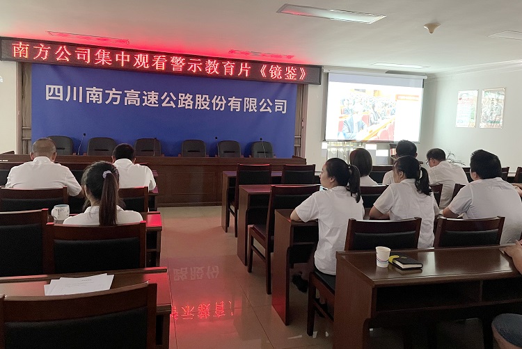 南方公司集中观看警示教育片《镜鉴》.JPG