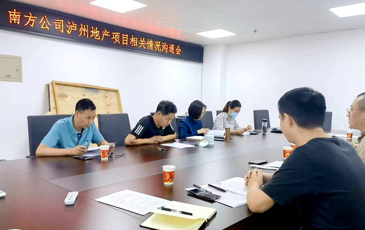 南方公司与高路文旅公司召开泸州地产项目相关情况的沟通会议 (1).jpg