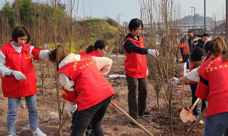 3.10南方公司泸州收费站携手开展践行“习近平生态文明思想”3·12植树节主题党日活动 (2).jpg