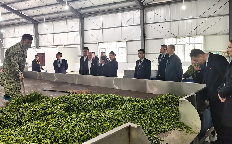 3.23南方公司叙永管理处党支部开展“助农采茶忙 志愿先锋行”主题党日活动3.jpg