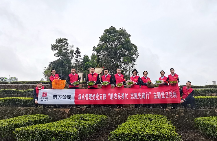 3.23南方公司叙永管理处党支部开展“助农采茶忙 志愿先锋行”主题党日活动1.jpg