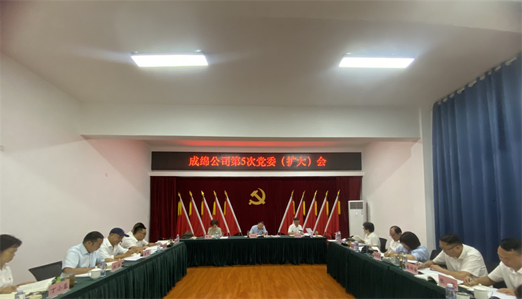 750宽--成绵公司2024年第5次党委(扩大)会.jpg