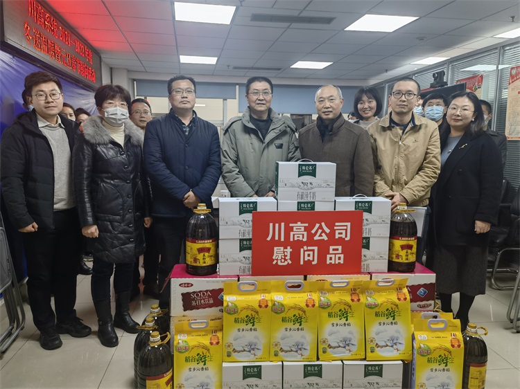 川高公司副总经理王健一行赴咨询公司慰问督导.jpg