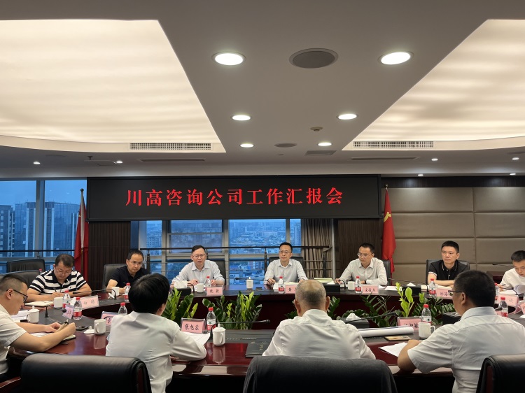 川高公司党委书记、董事长黄兵赴川高咨询公司调研1.jpg