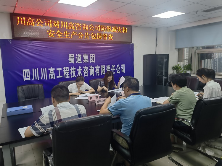川高公司财务总监黄璐赴川高咨询公司开展防汛减灾和安全生产分片包保检查督导工作.jpg