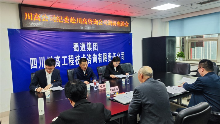 川高公司党委委员、纪委书记欧海龙一行赴川高咨询公司调研座谈.jpg