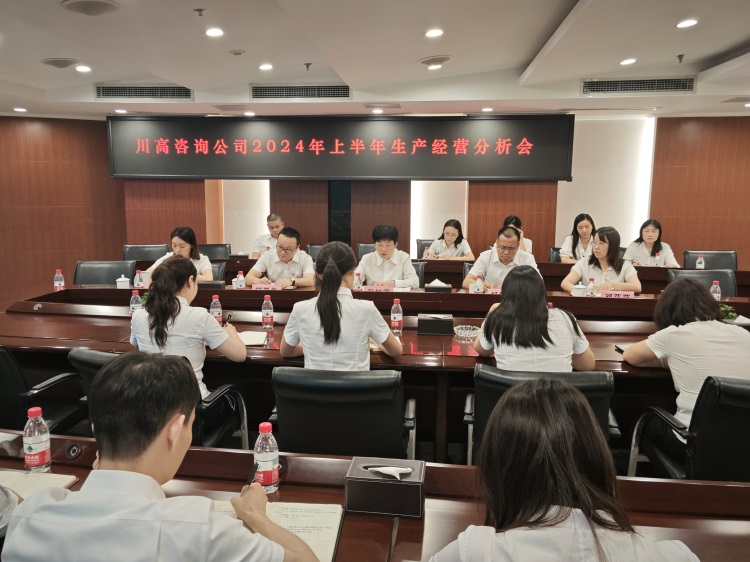 川高咨询公司召开2024年上半年生产经营分析会.jpg