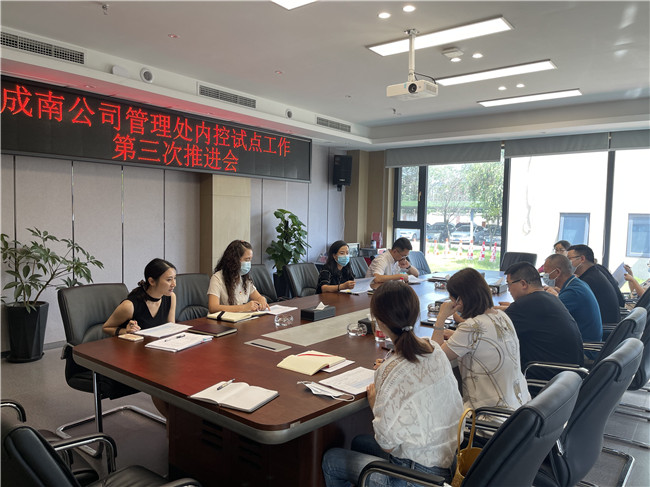 no396-成南公司组织召开管理处内控试点第三次推进会(雷蕾).JPG