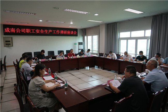 no411-成南公司组织召开职工安全生产工作调研座谈会(彭懿).JPG