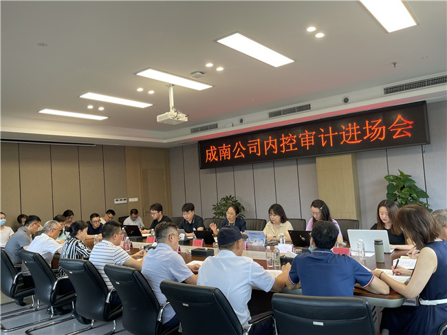 no412-成南公司内控审计进场会顺利召开(雷蕾).JPG