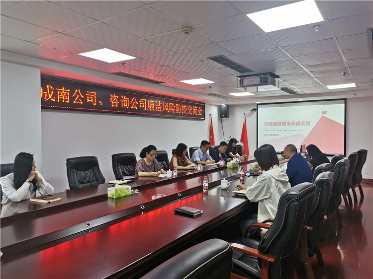 no269-成南公司与川高咨询公司开展内部监督体系构建工作交流学习(谢雨杉).jpg