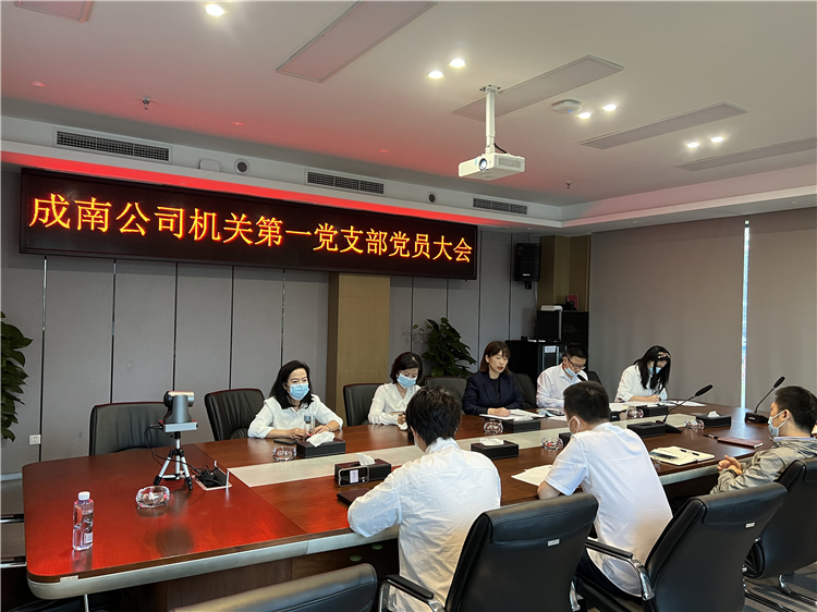 no435-成南公司机关第一党支部召开支部党员大会进行换届选举.jpg