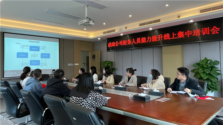 no533-成南公司开展财务人员能力提升线上集中学习培训.jpg