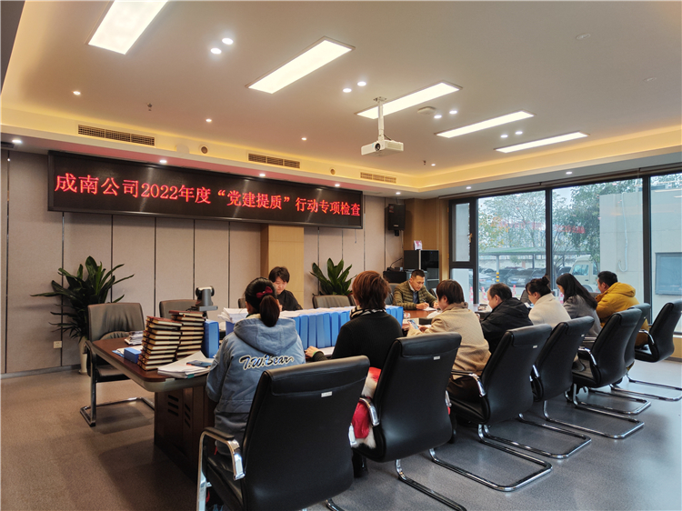 no563-成南公司组织开展2022年度“党建提质”专项检查行动.jpg