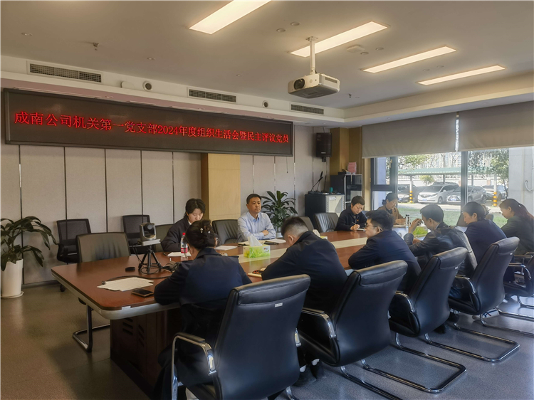 成南公司各党支部组织召开2024年度组织生活会暨民主评议党员大会.jpg