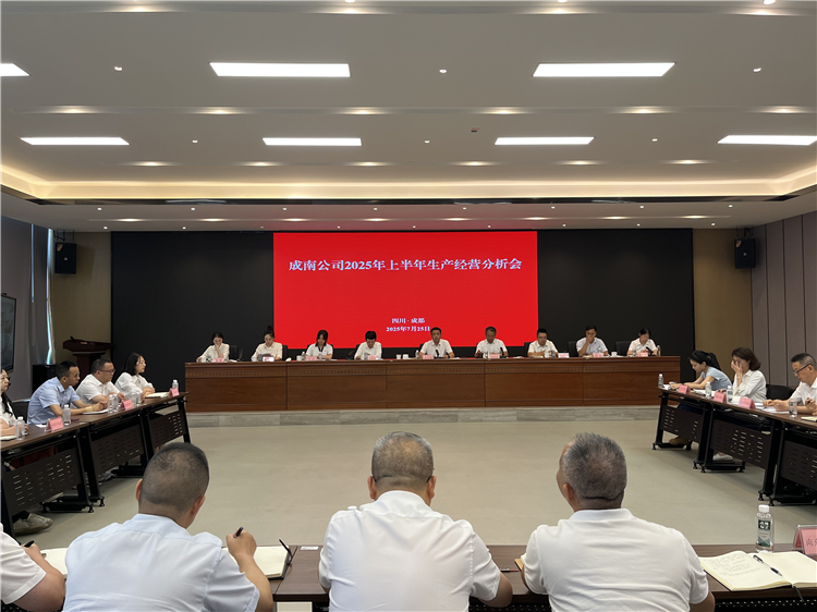 成南公司组织召开2025年上半年生产经营分析会.JPG