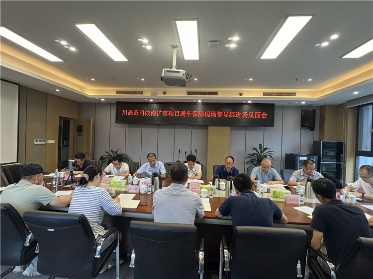 成南高速扩容项目通车保障现场督导组.jpg