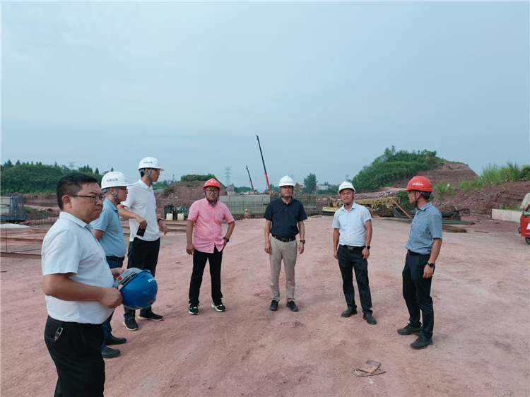 成南公司党委书记、董事长苏开春一行赴成南扩容.png