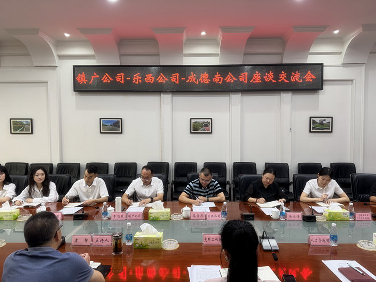 8.29+人力资源部+镇广、乐西公司赴成德南公司开展交流座谈.JPG
