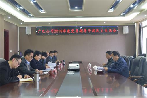 川高公司党委委员、副总经理张洪春督导广巴公司2018年度党员领导干部民主生活会.jpg