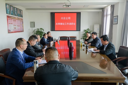 DSC_7496 - 副本.JPG