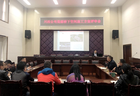 20201117川西公司召开蜀源桥下空间施工方案评审会_副本.jpg
