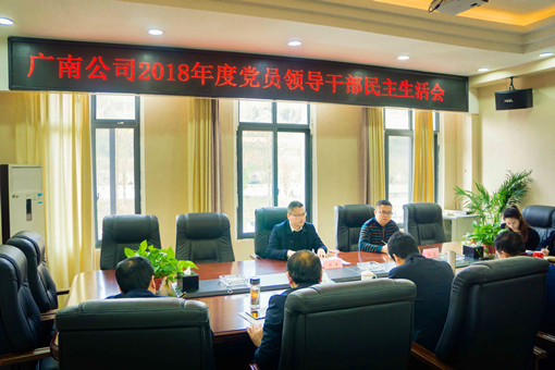 川高公司党委副书记但勇督导广南公司2018年度党员领导干部民主生活会.jpg