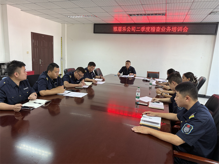 雅眉乐公司开展第二季度稽查业务培训会.jpg