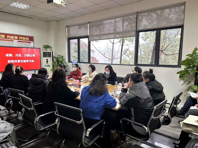 成南公司、川北公司赴川西公司开展财务共享系统交流学习_副本.png