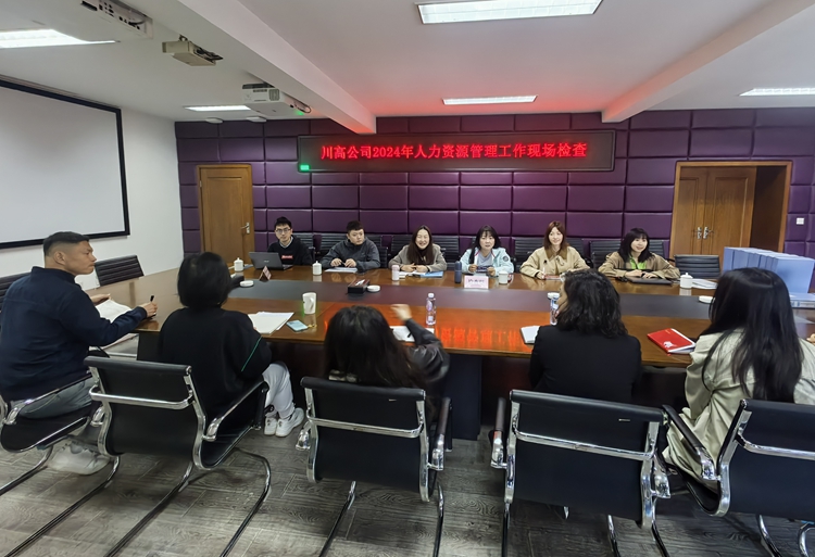 2025.3.24川西公司迎接川高公司2024年度人力资源管理相关工作现场检查 (3)_副本.jpg