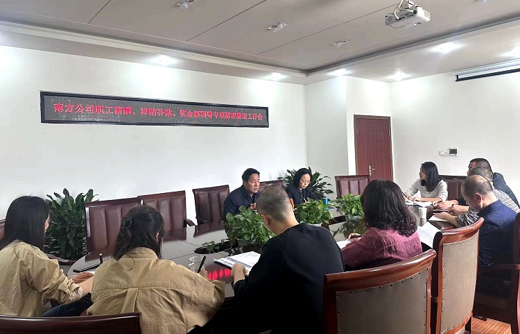 5.11南方公司召开职工薪酬、津贴补贴、奖金福利等专项清理整治工作会2.jpg