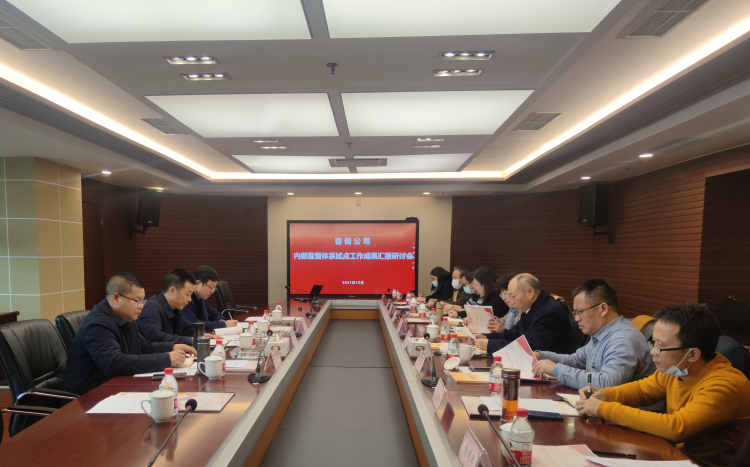 川高公司党委委员、纪委书记欧海龙一行调研指导咨询公司内部监督体系构建与运用课题试点工作.png