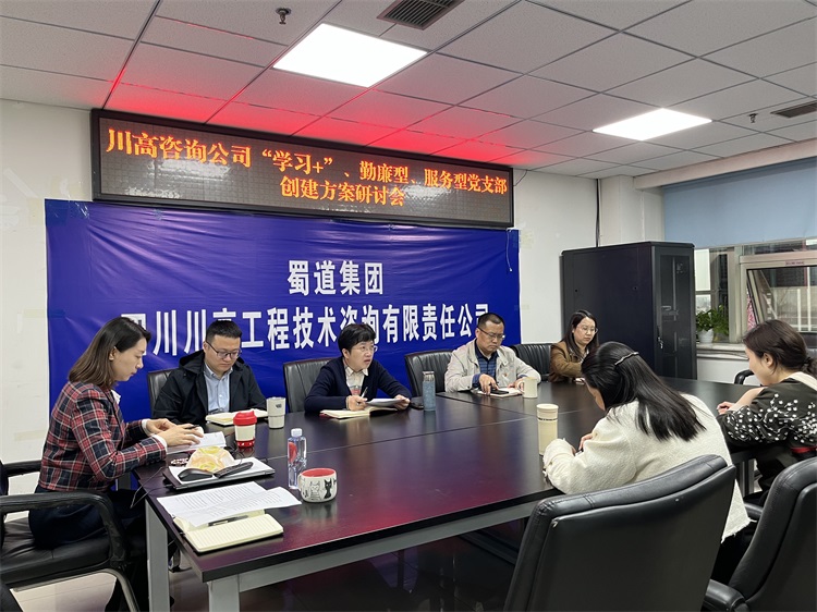 川高咨询公司召开学习型勤廉型服务型党支部创建方案讨论会.jpg